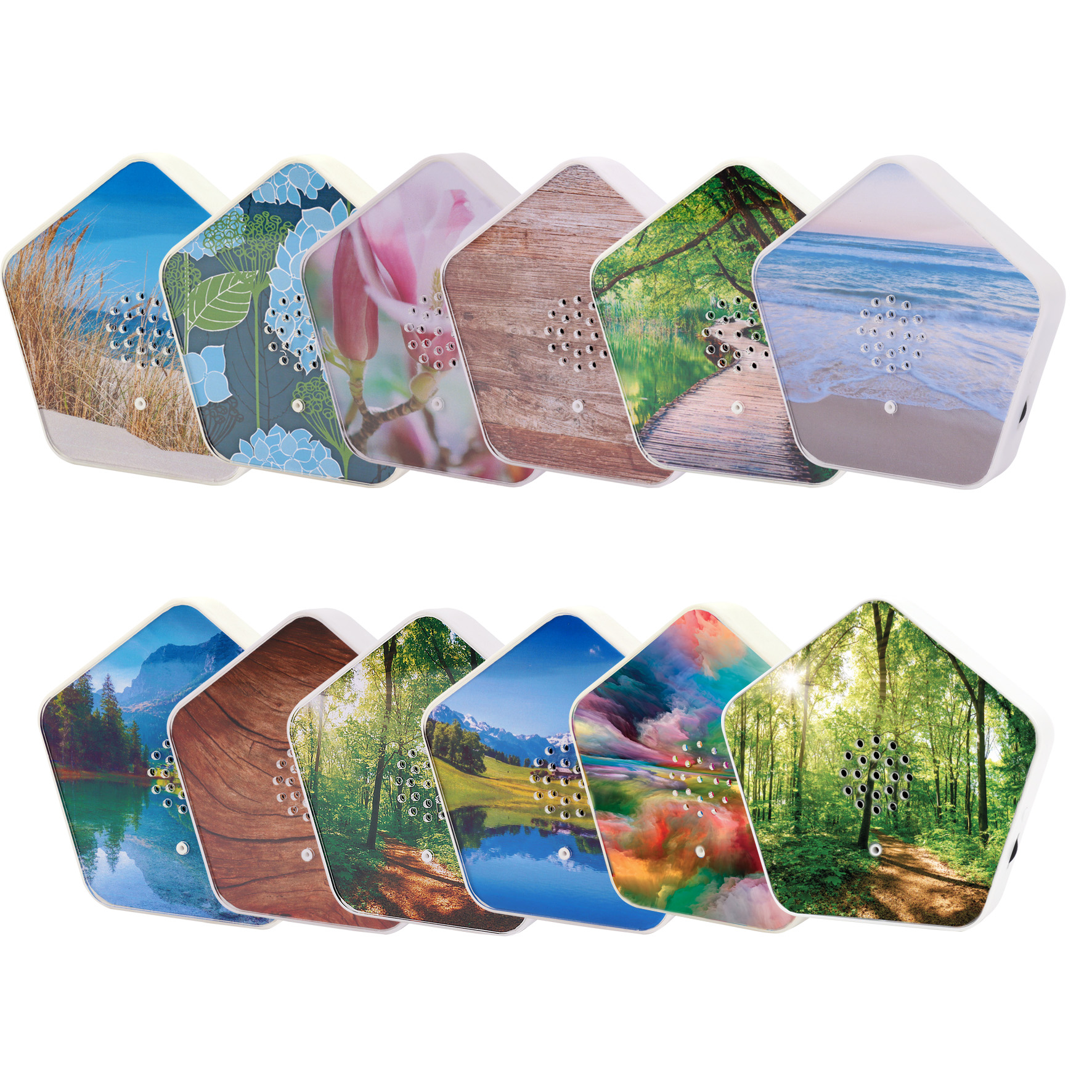 Olympia Sound of Nature Box                          1 Stück